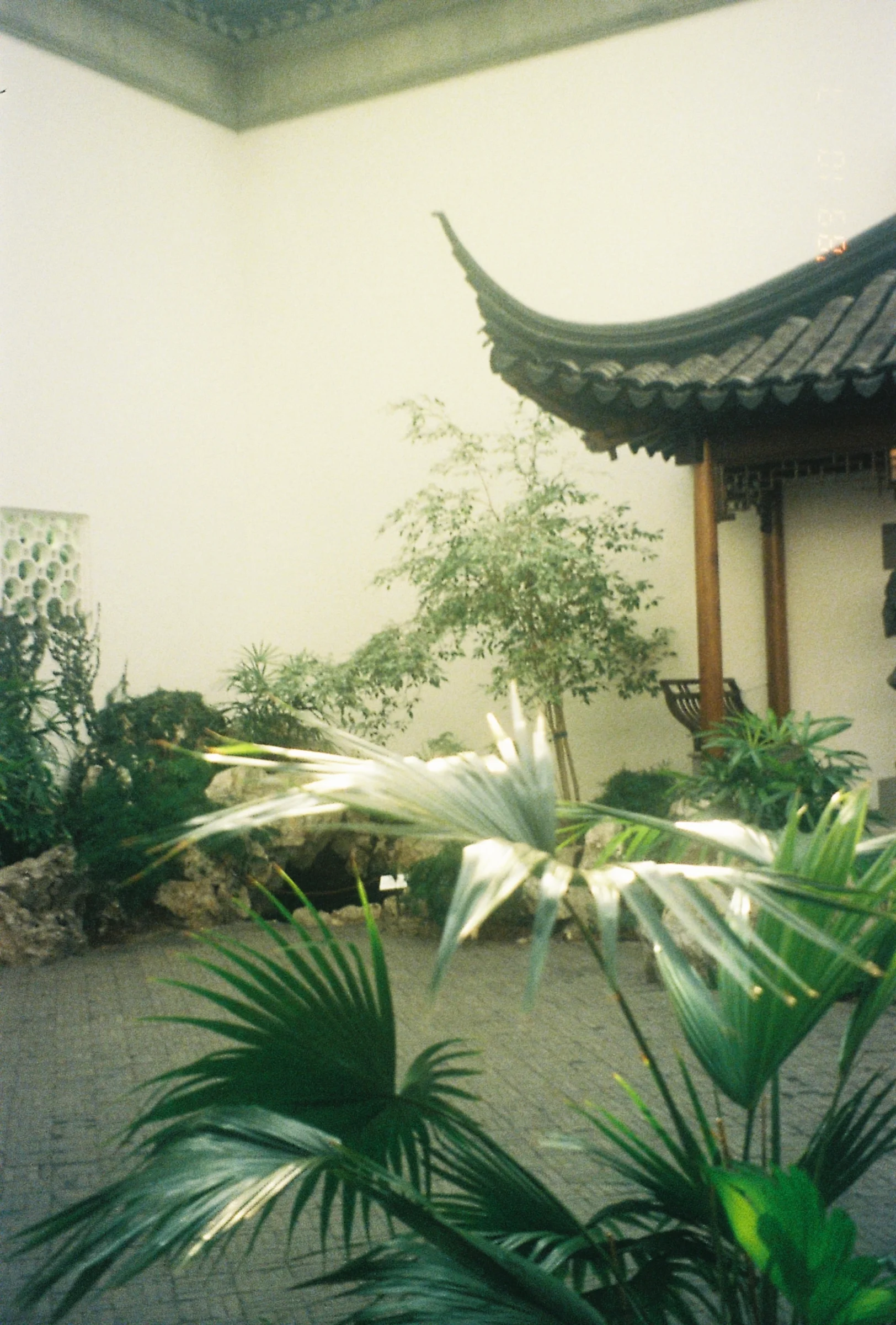 A small recreation of a traditional chinese garden at the met.